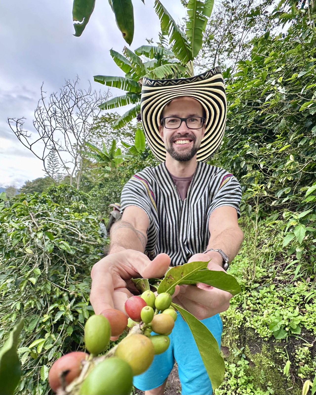 Coffee region, Colombia